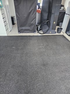 Carpet Cleaning Geelong – After Results