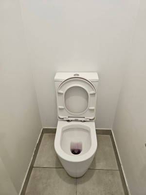 Commercial Washroom Cleaning Results