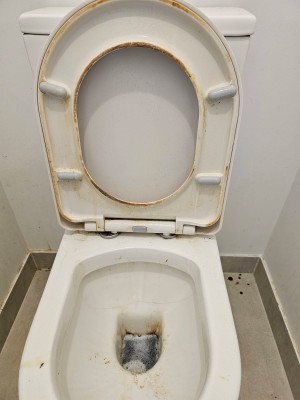 Dirty Toilet Before Professional Cleaning