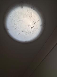Skylight Cleaning Before Service