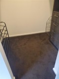 Stained Carpet