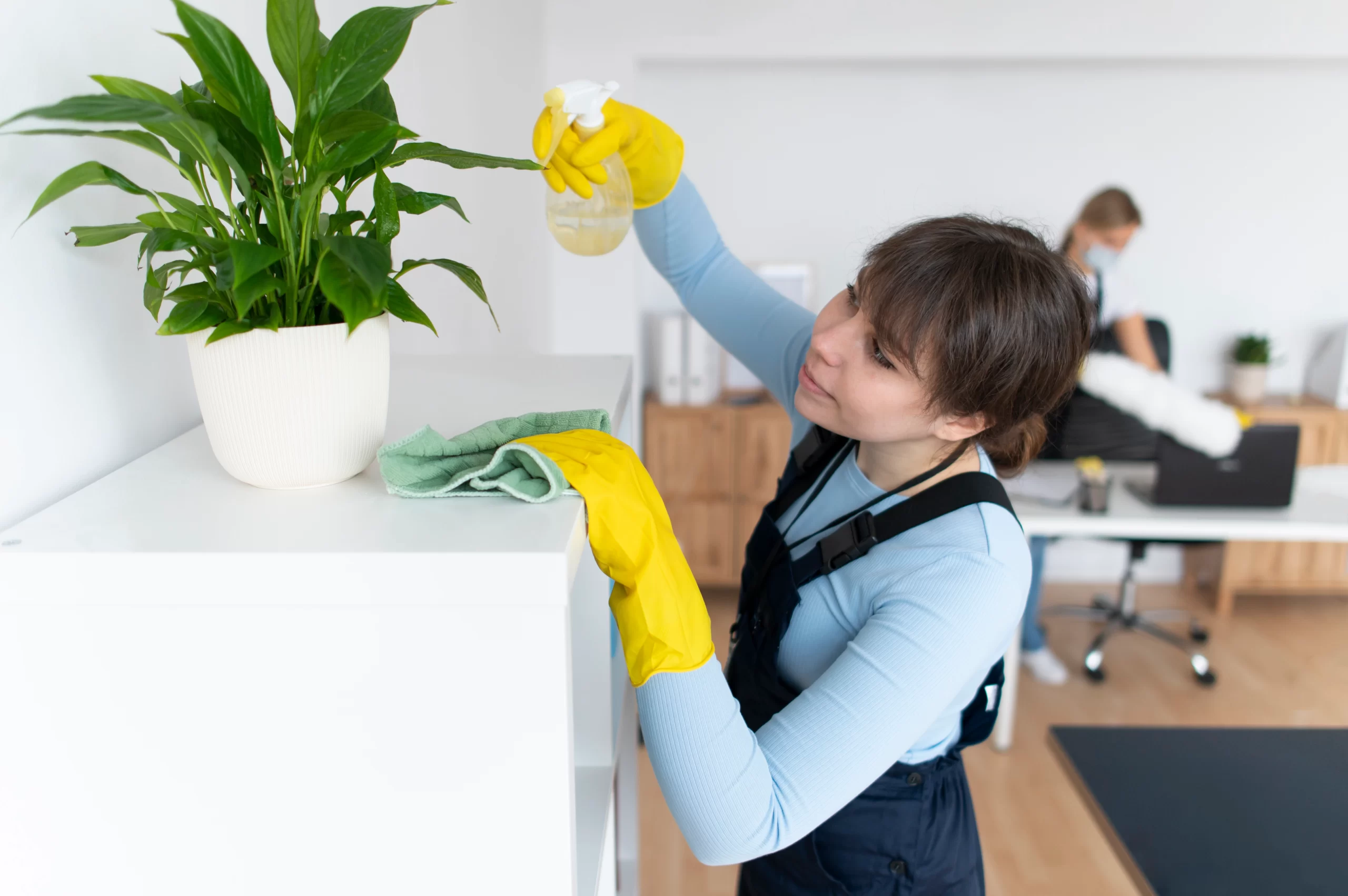 School Cleaning Services